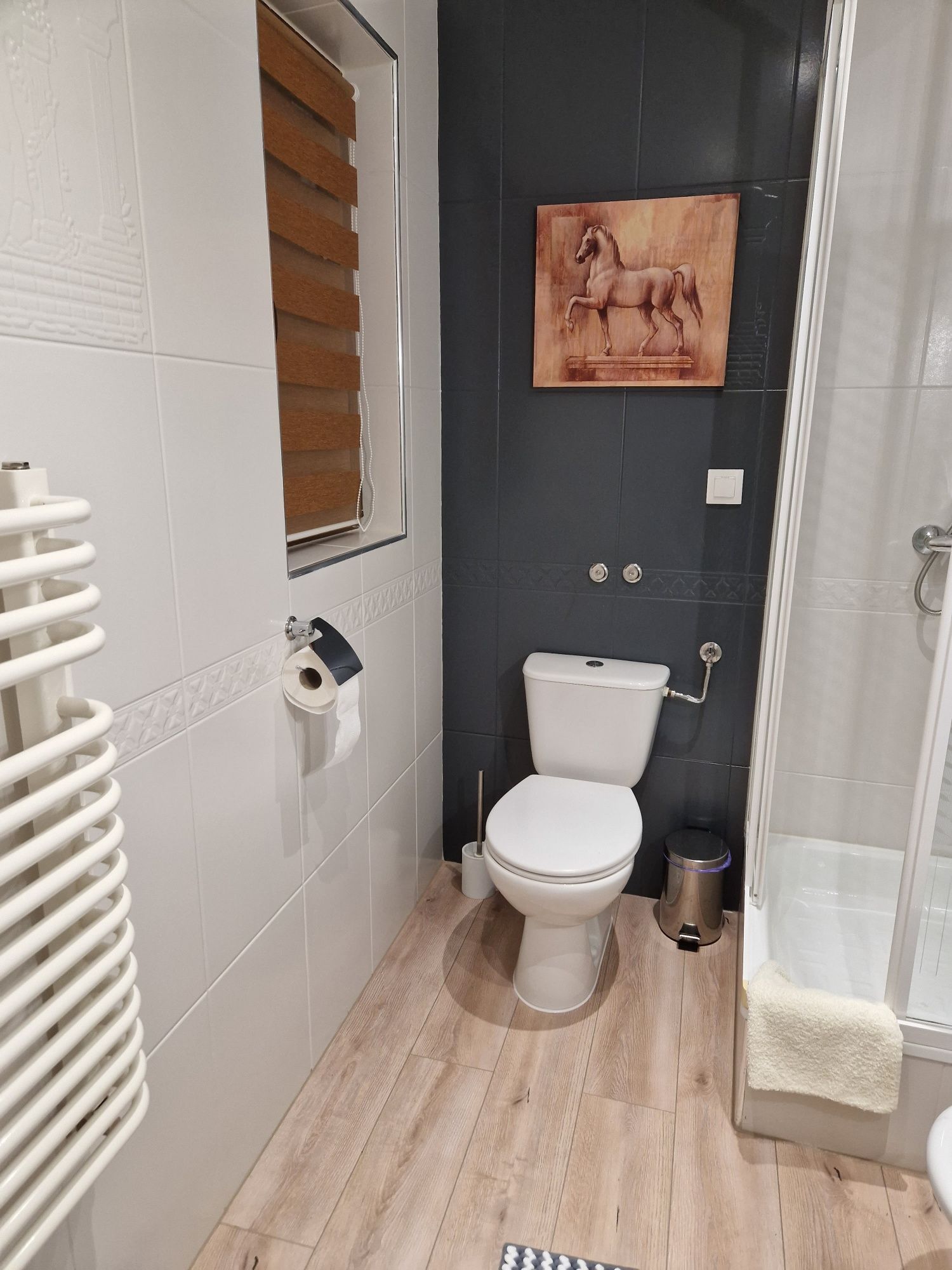 ZAKOPANE Apartament U Majerczyka - wakacje