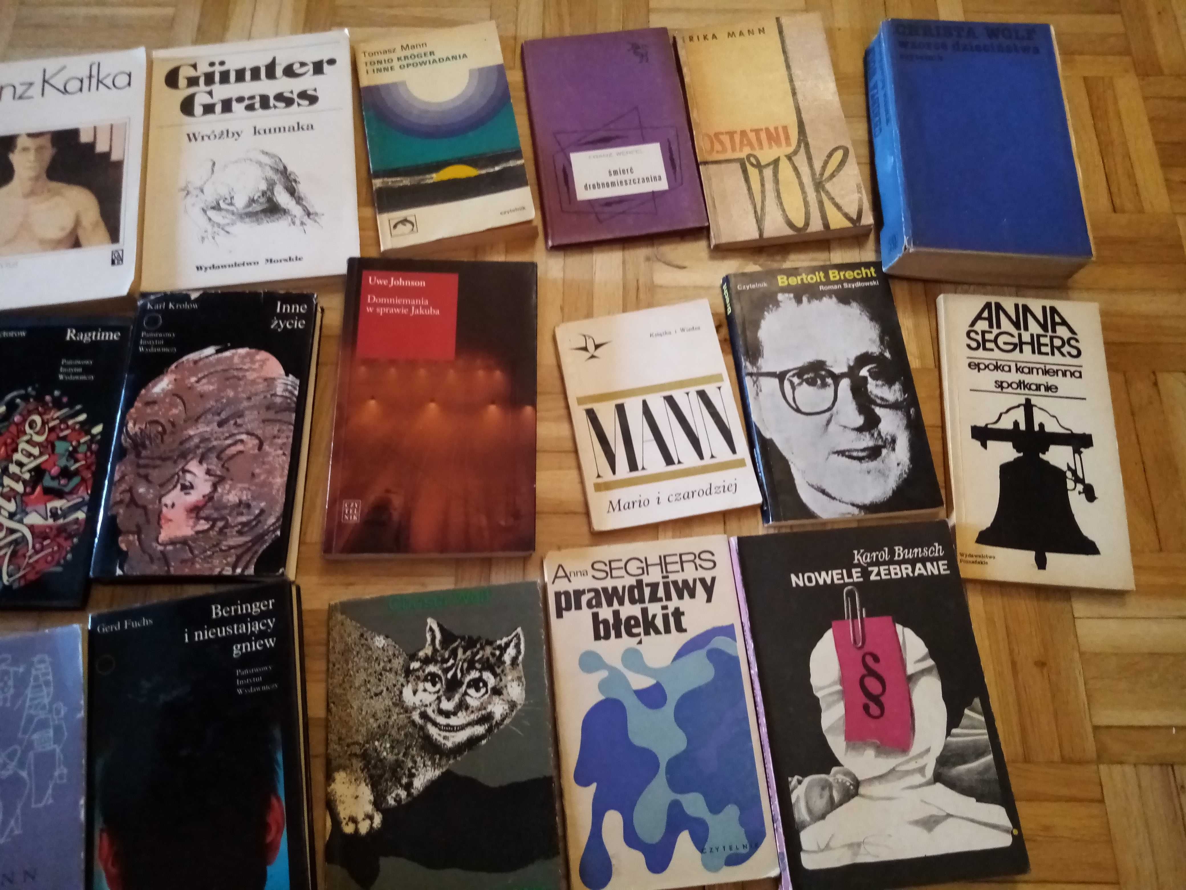 20 książek literatura niemiecka Mann Wolf Grass Seghers Krolow itp