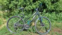 Rower CUBE Curve Pro 50cm