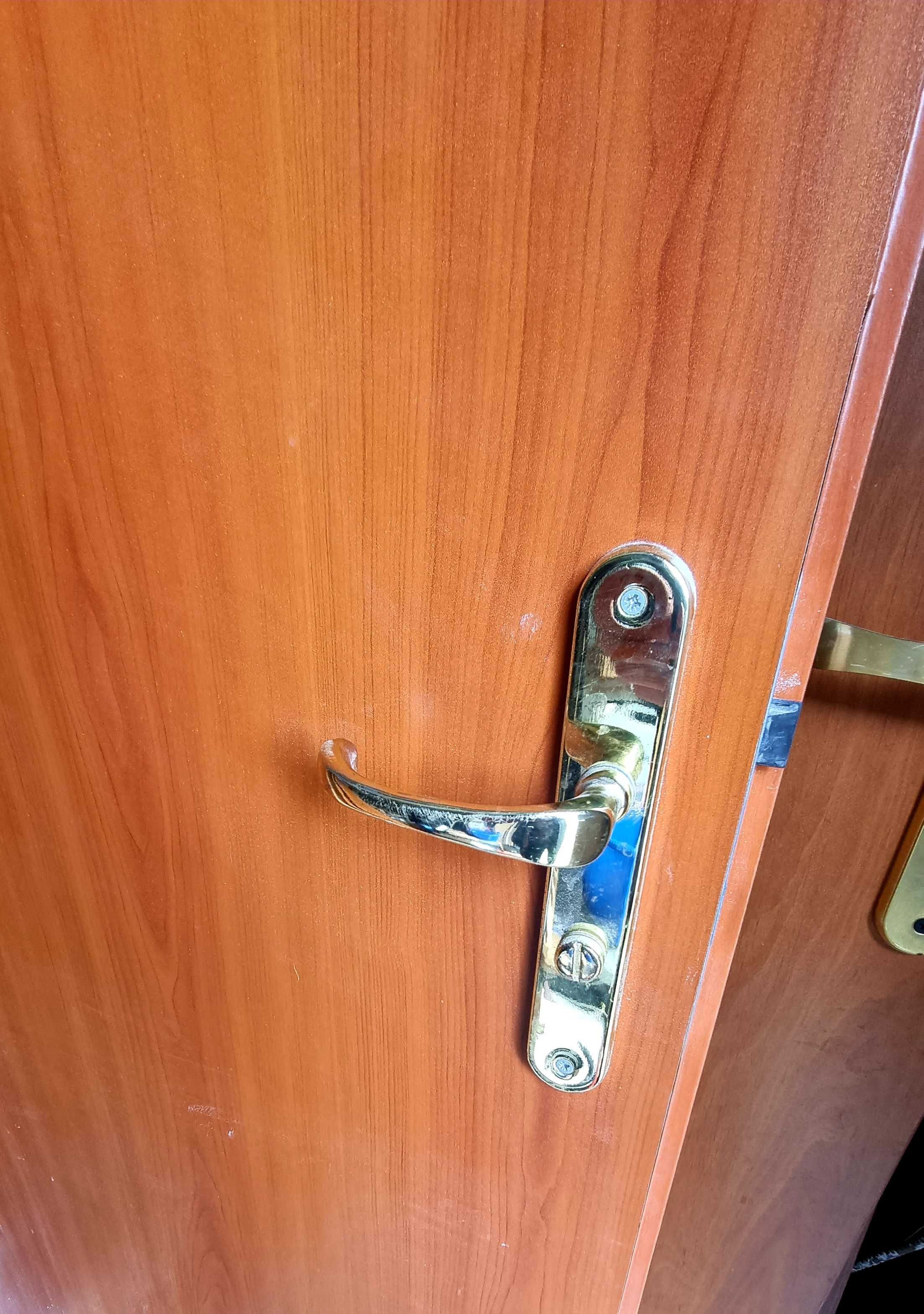 Drzwi bez futryn 7 sztuk z mosiężnymi szyldami