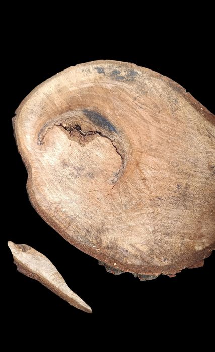 Plastry orzecha włoskiego.