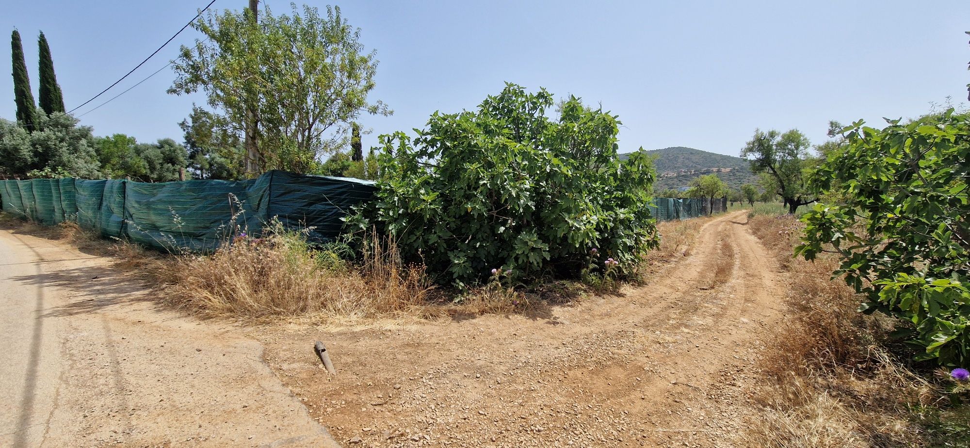 Terreno com 2.5 ha com ruina