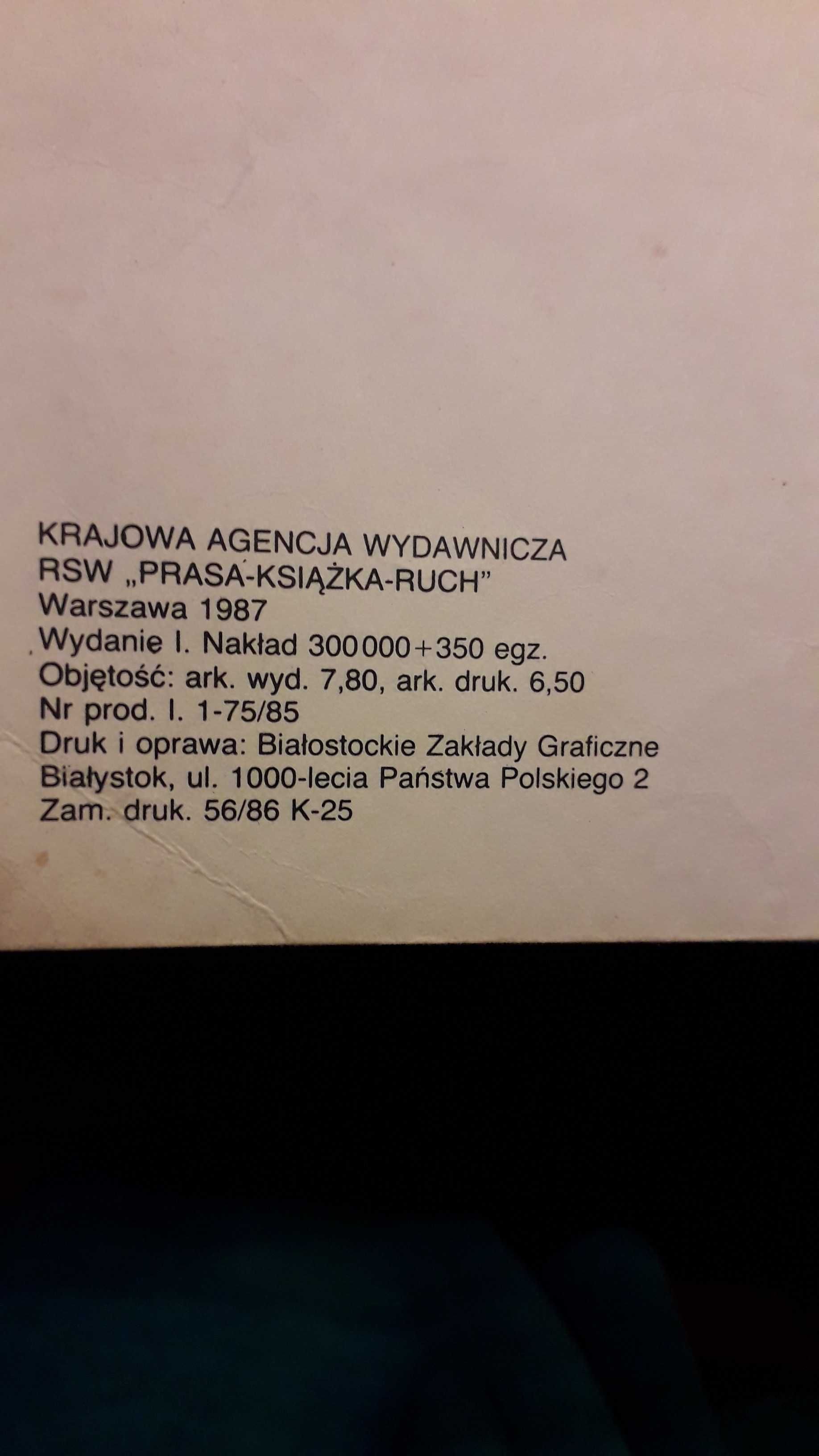 komiks Kajko i Kokosz w krainie Borostworów