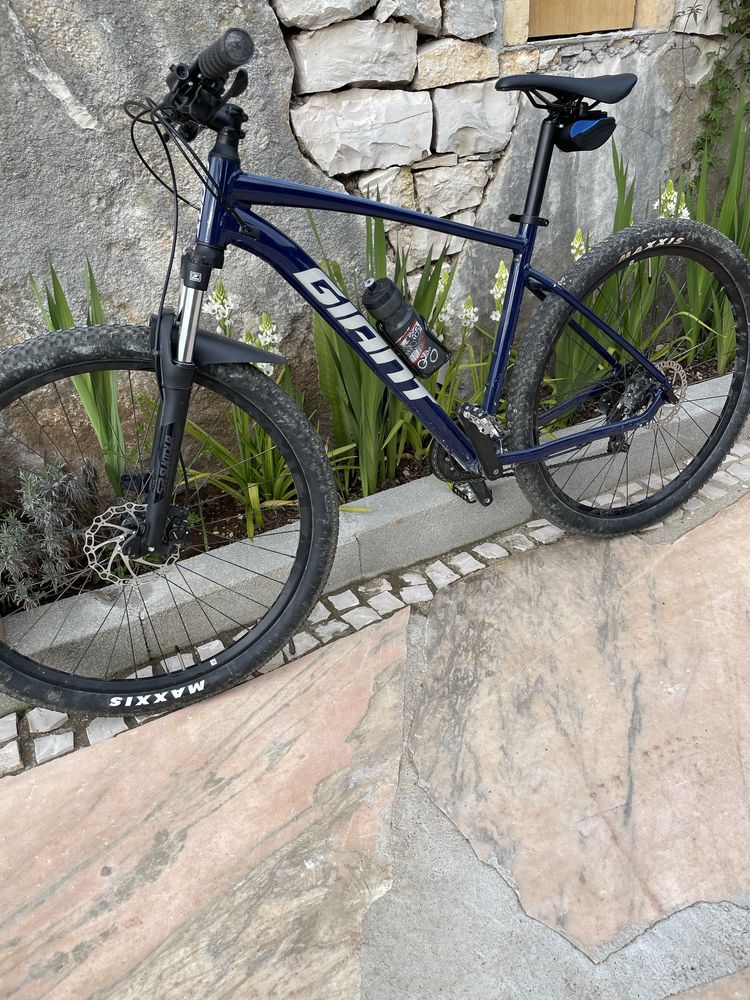Giant talon 2021