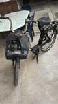 Rower Solex 3800
