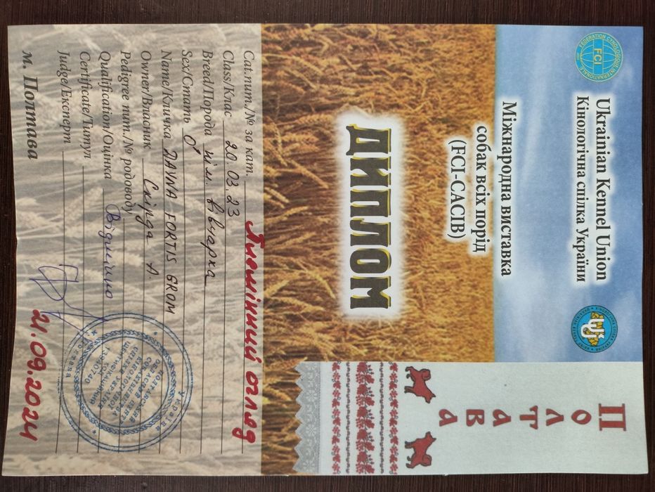 В'язка Німецька вівчарка