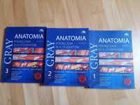 Podręcznik do anatomii Gray'a. Wydanie III + Pytania testowe - 3 tomy
