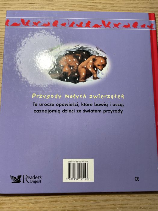 Nowy przyjaciel niedźwiadka