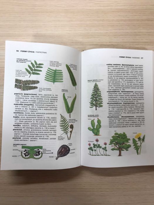 Ilustrowany słownik biologiczny Neil Curtis bilogia matura kompendium