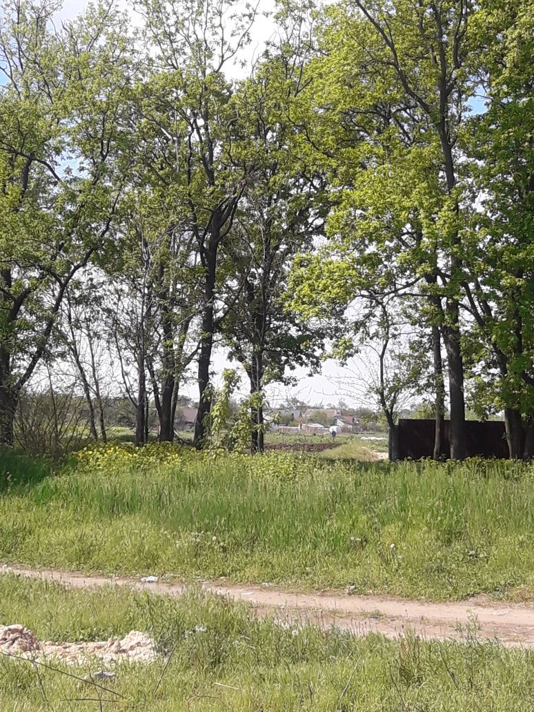 Земельна ділянка біля річки Дніпро в с. Червона Слобода.