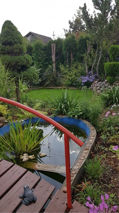 Ogródek działkowy ROD ul. Mickiewicza