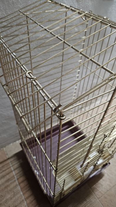 Gaiola de papagaio