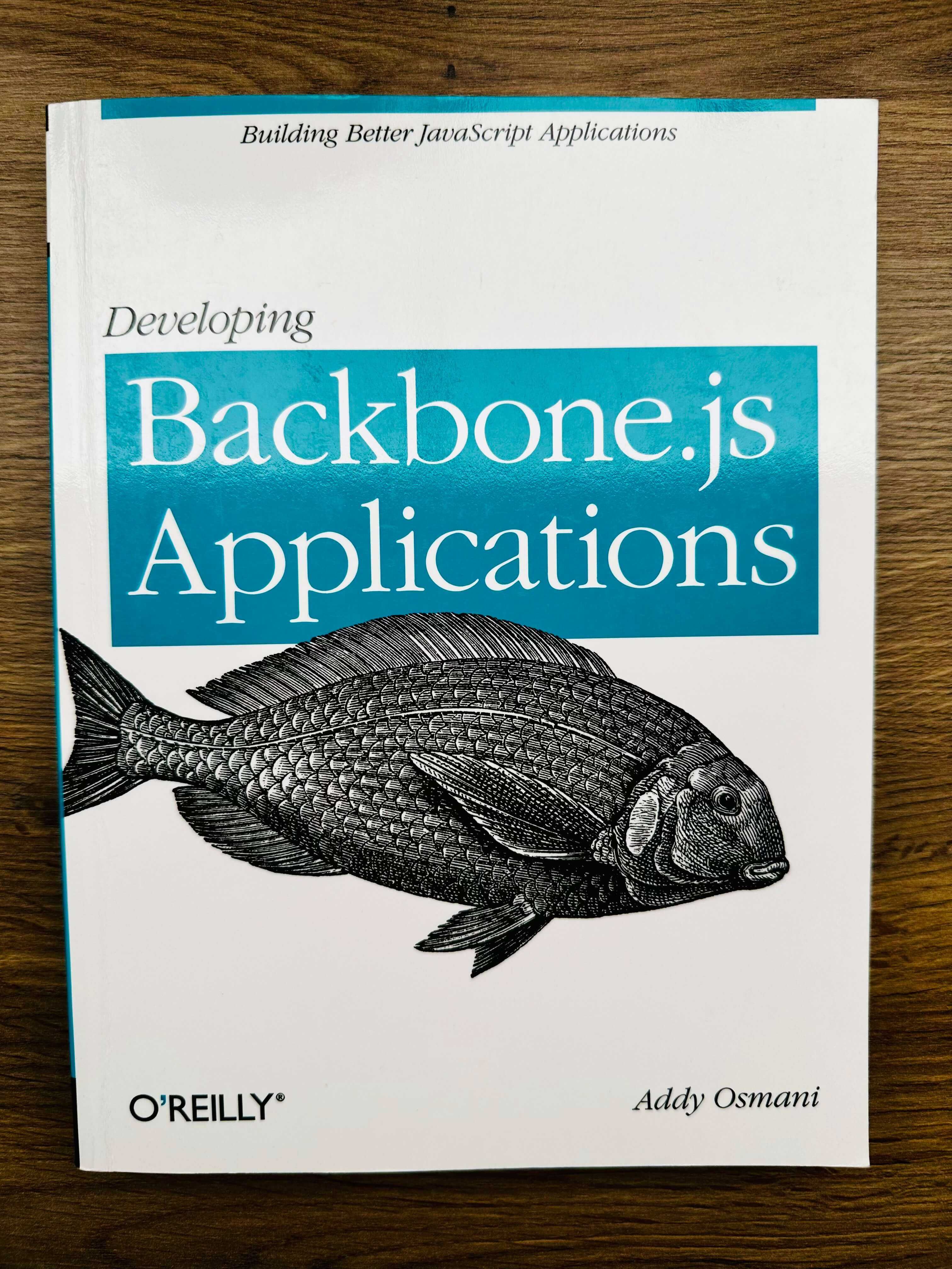 Zestaw 4 książek O'Reilly o JavaScript i tworzeniu aplikacji webowych
