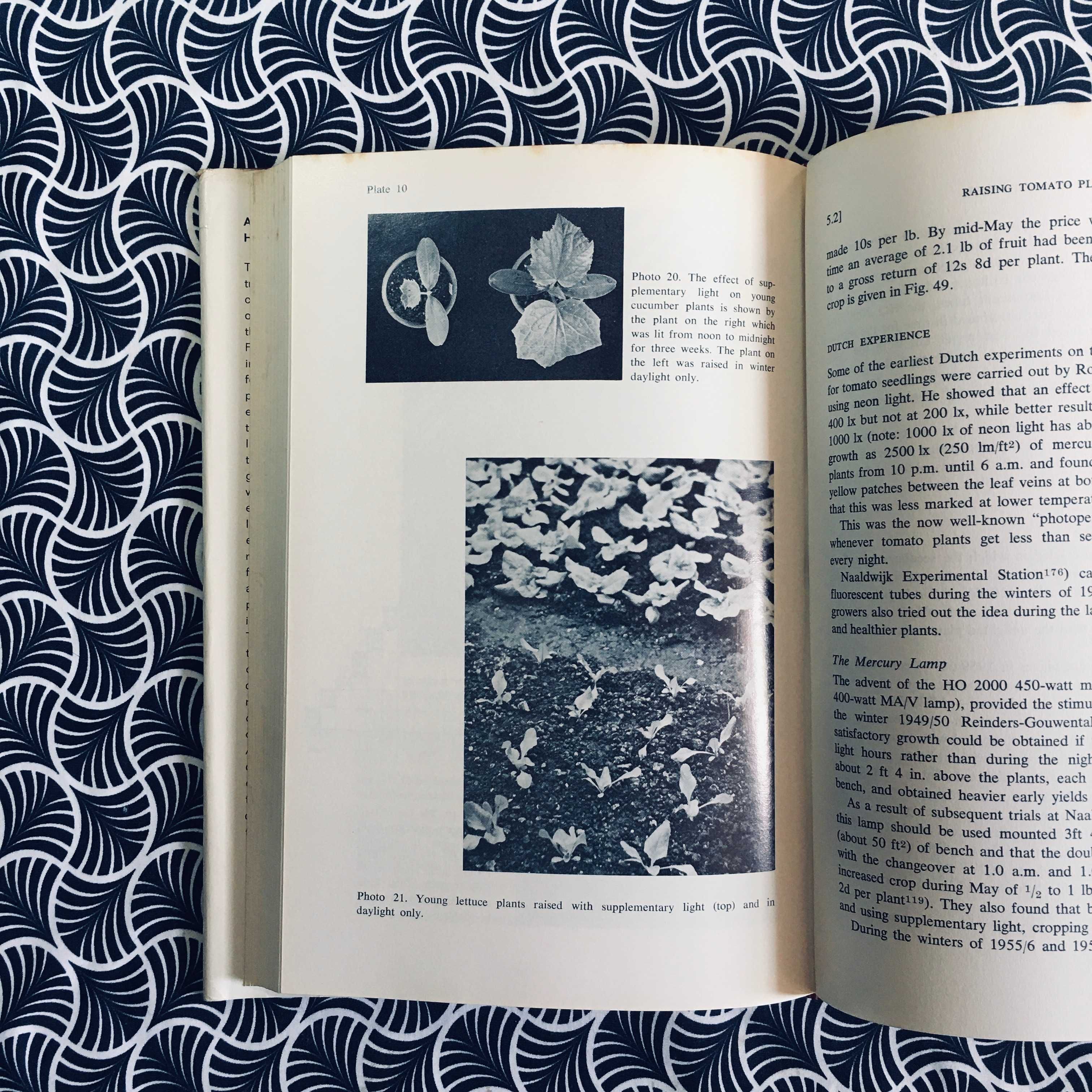rtificial Light in Horticulture - 
A. E. Canham
