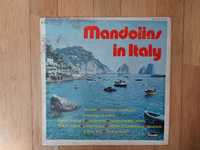 Składanka, Mandolins In Italy, USA, db