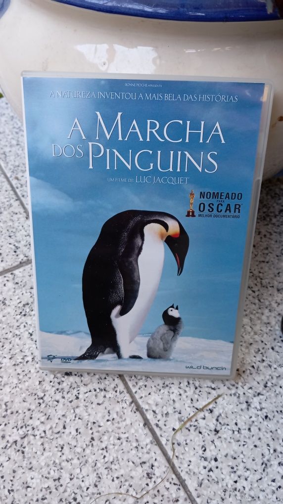 Vários DVDs filmes