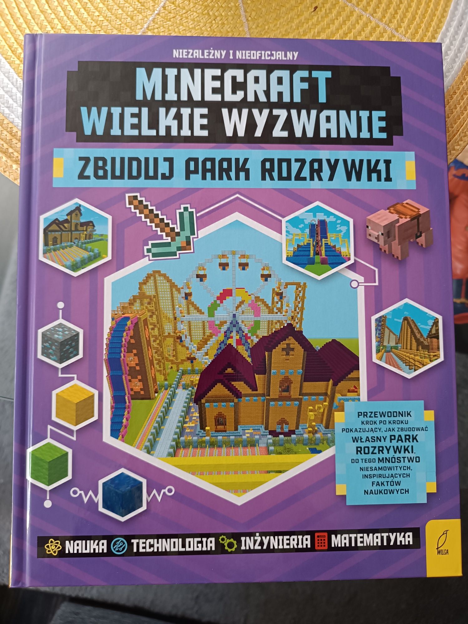 Minecraft zbuduj park rozrywki