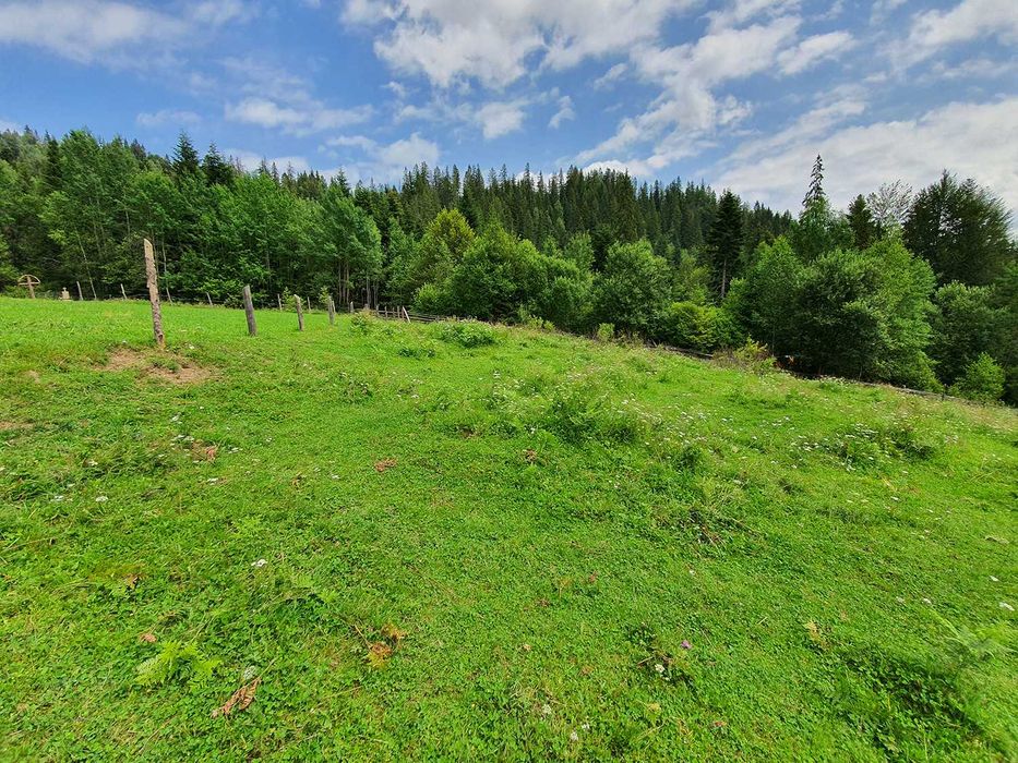 Продам Землю Карпаты Косовский район Ивано-Франковска область