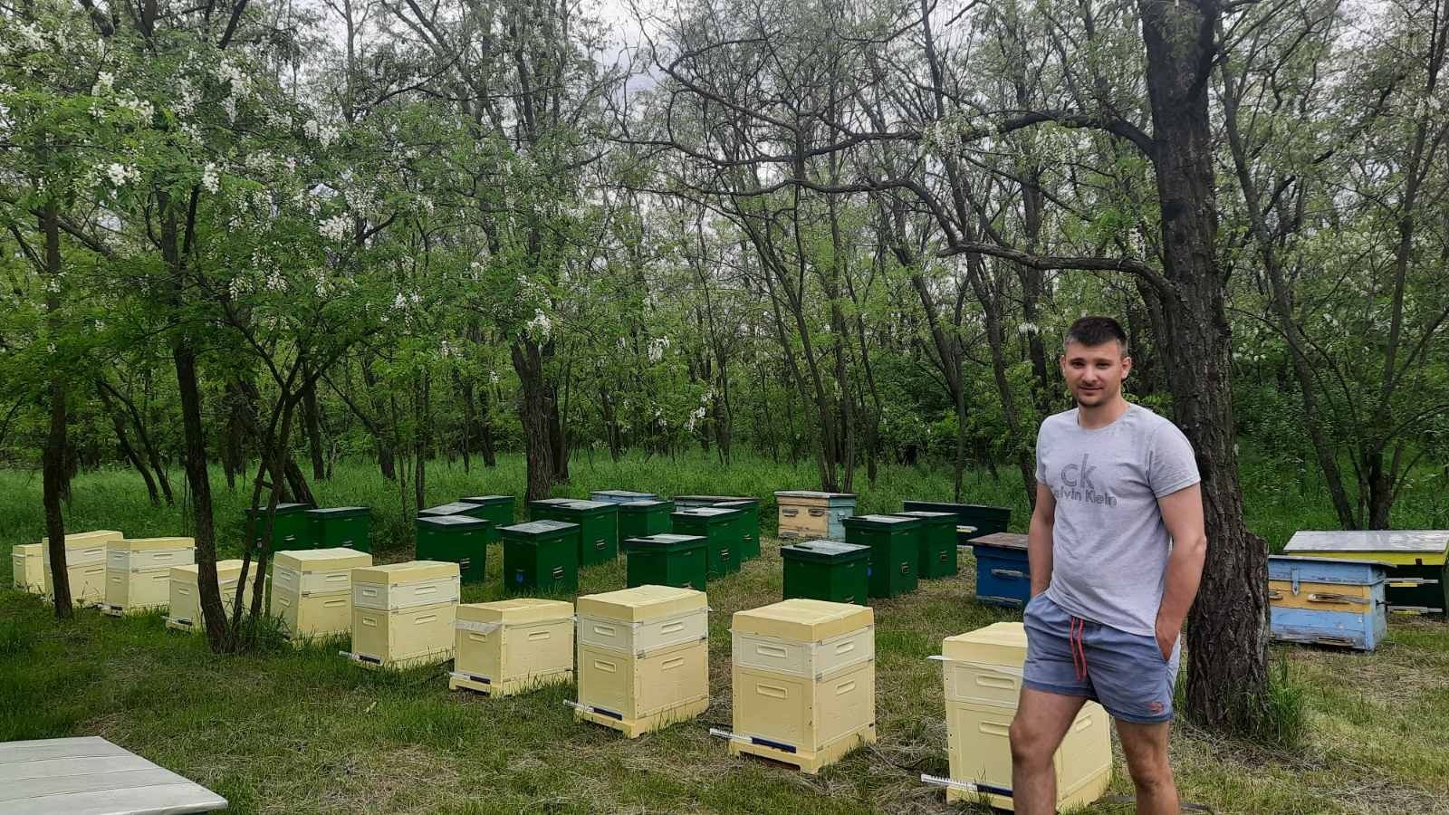 Бджолопакети Пчелопакеты