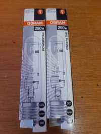 Żarówki OSRAM 250w e40