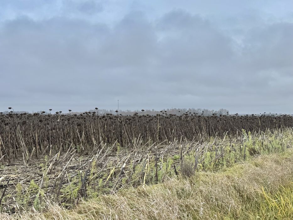 Земельна ділянка 20,17 га! с.Небелиця