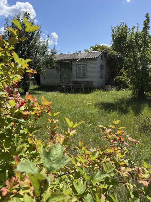 Продаж будинку в СТ Дружба, с.Лозівок