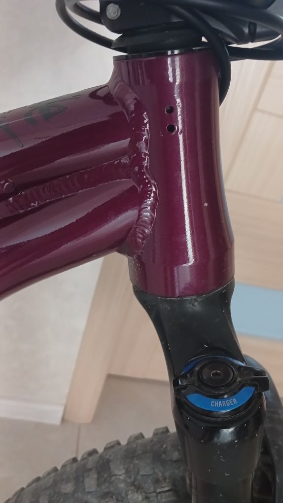 MTB Mongoose 2021