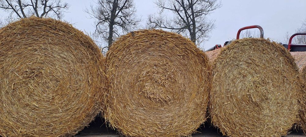 Witam sprzedam słomę.