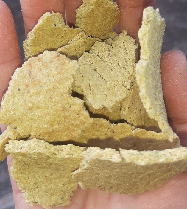 Масло соевое. Олія соєва. Жмых макуха соевая.