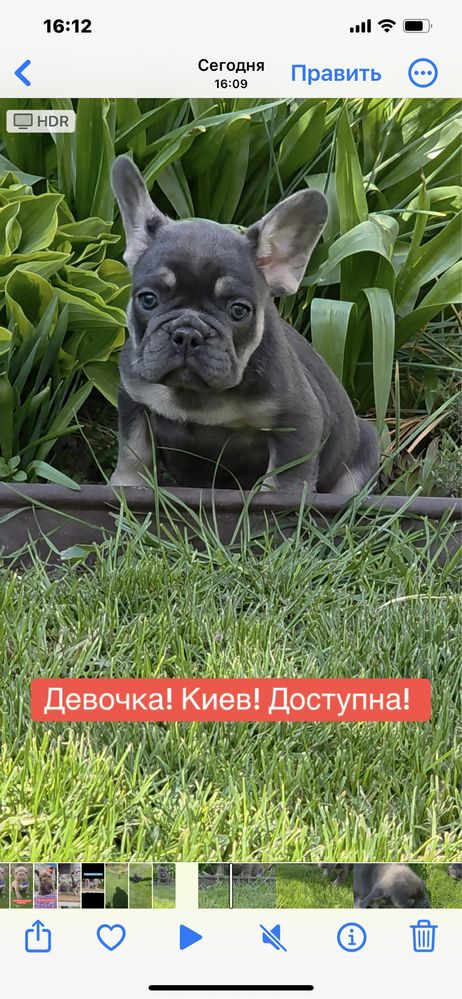 Девочка голубой тан с документами