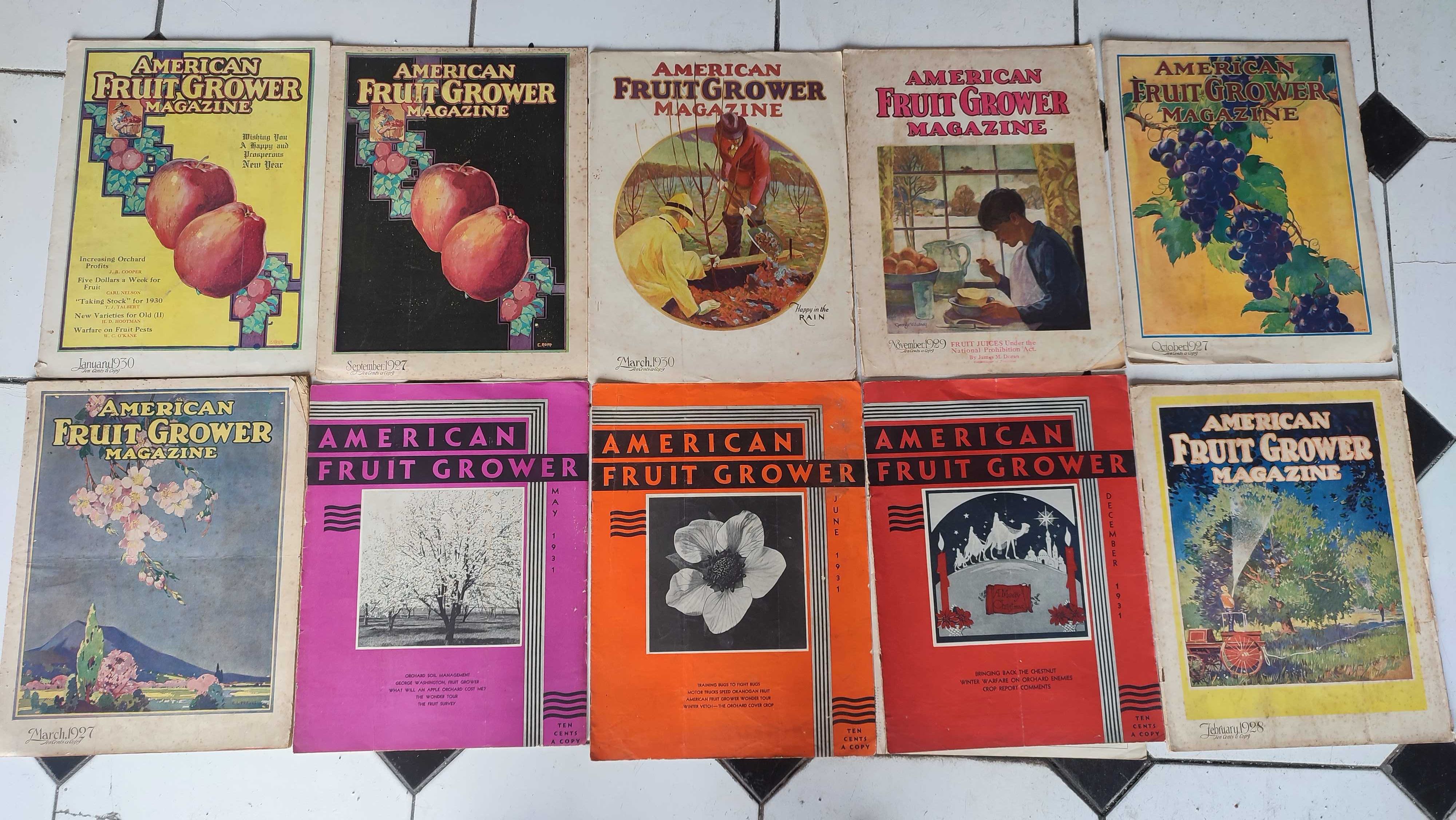36 Revistas American Fruit Grower Magazine -Anos 20 e 30