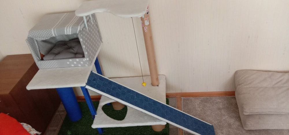 Когтеточка для котів