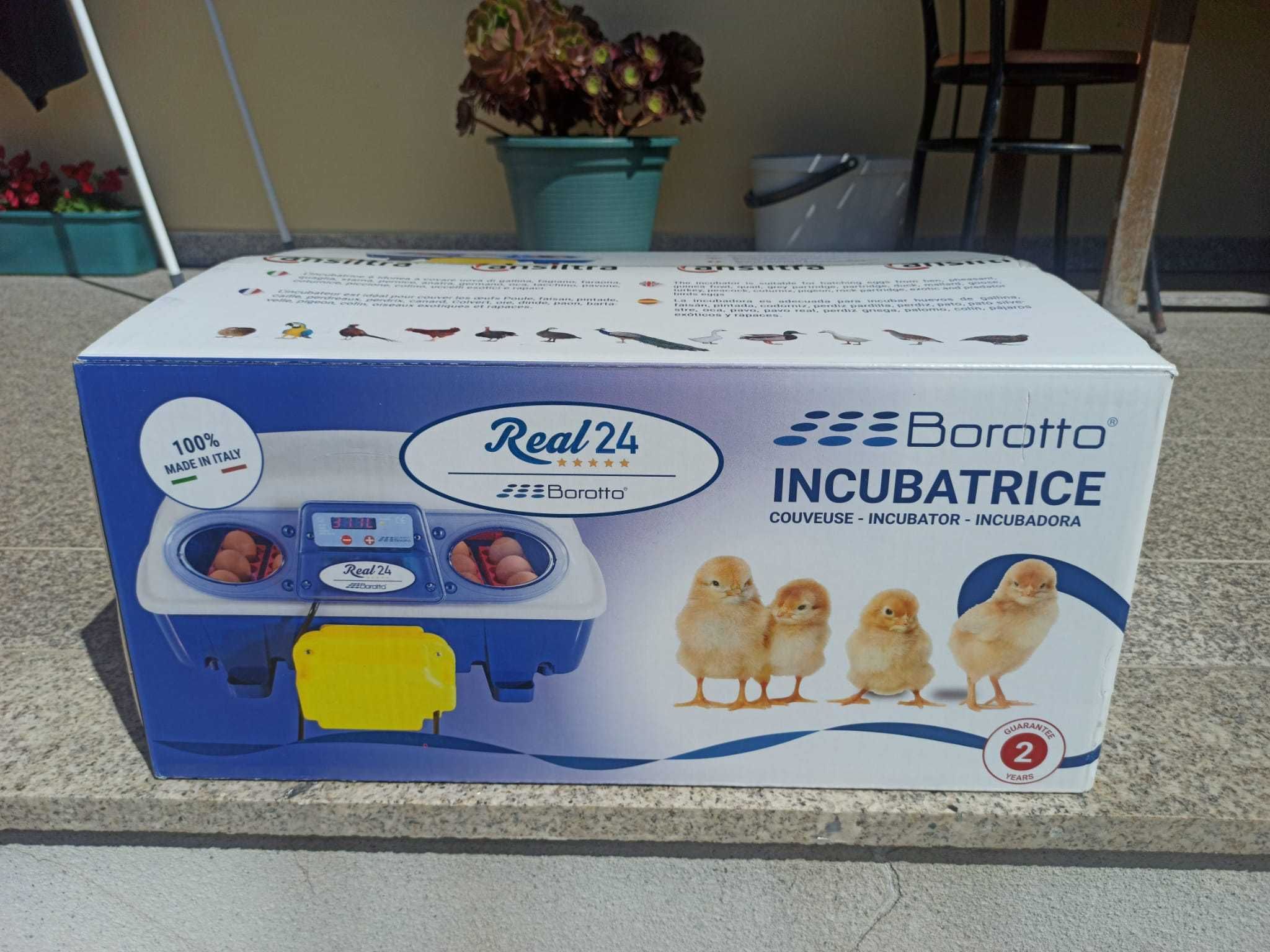 Incubadora Borotto