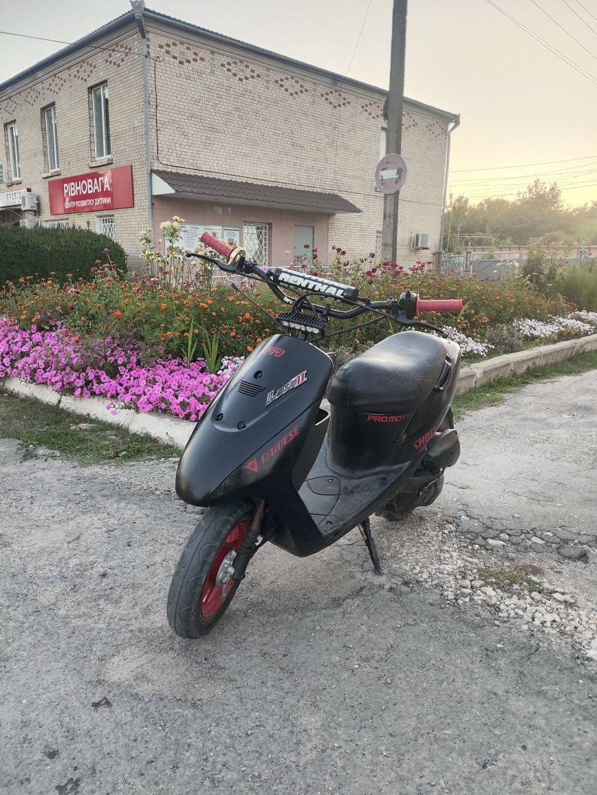 Suzuki lets 2 new
