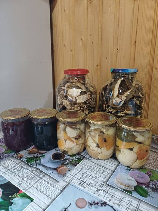 Бриби білі, сушені,  мариновані, варення чорниця , брусниця.