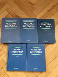 Anatomia Człowieka Adam Bochenek tomy 1-5