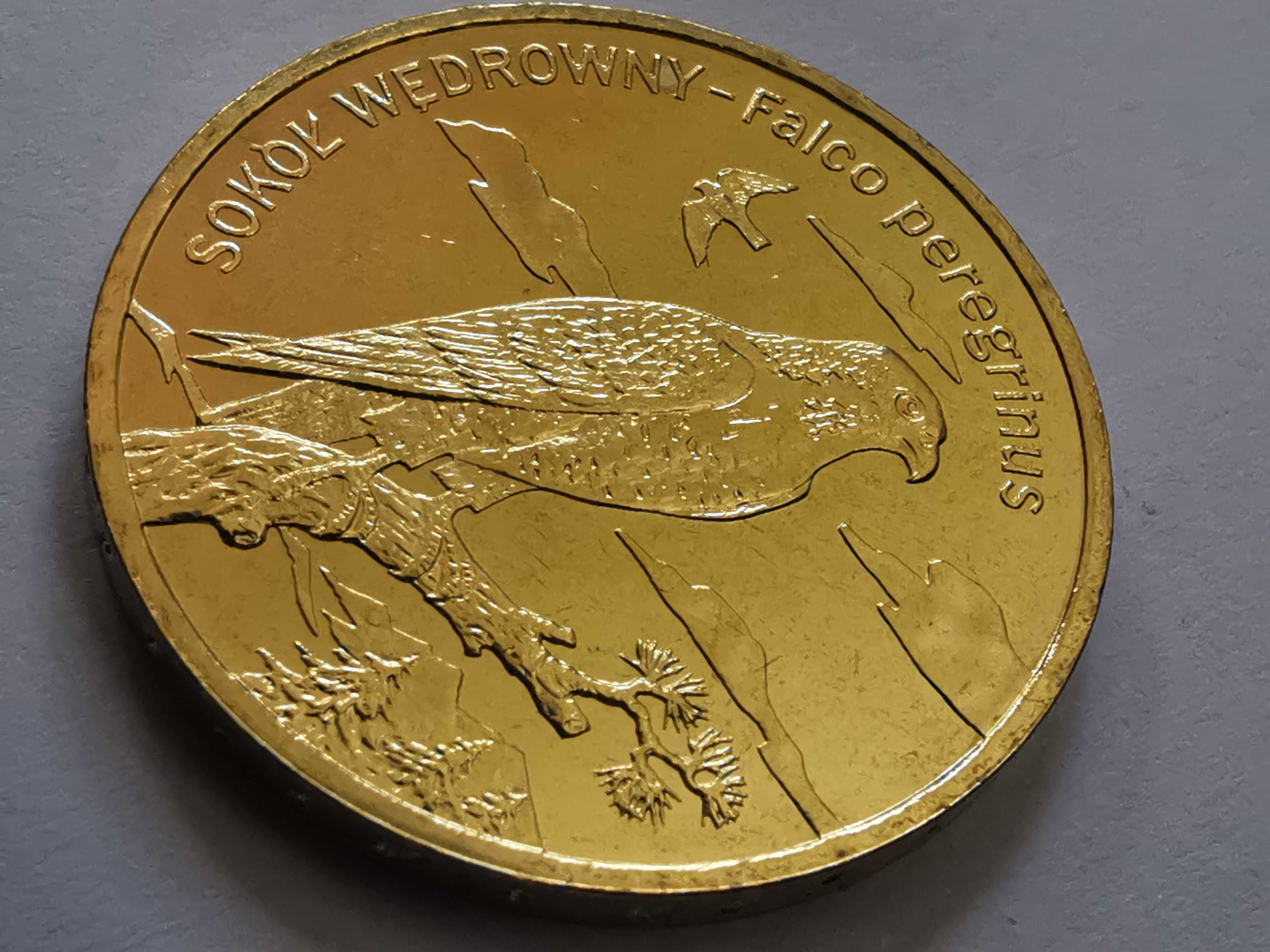 2zł 2008r. - Sokół wędrowny - stan bardzo dobry, nordic gold