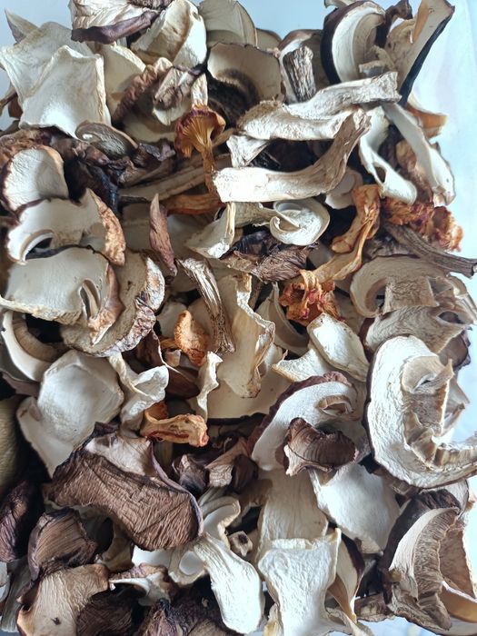 Grzyby suszone, mix w słoiku