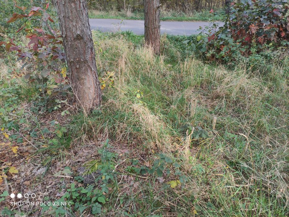 Działka z MPZP, Mariampol, 1100m2, zbiornik wodny Tkaczewska Góra