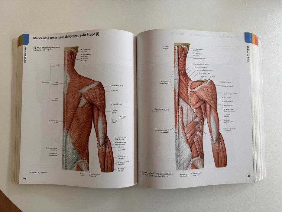 Atlas de Anatomia, de Gilroy, MacPherson e Ross