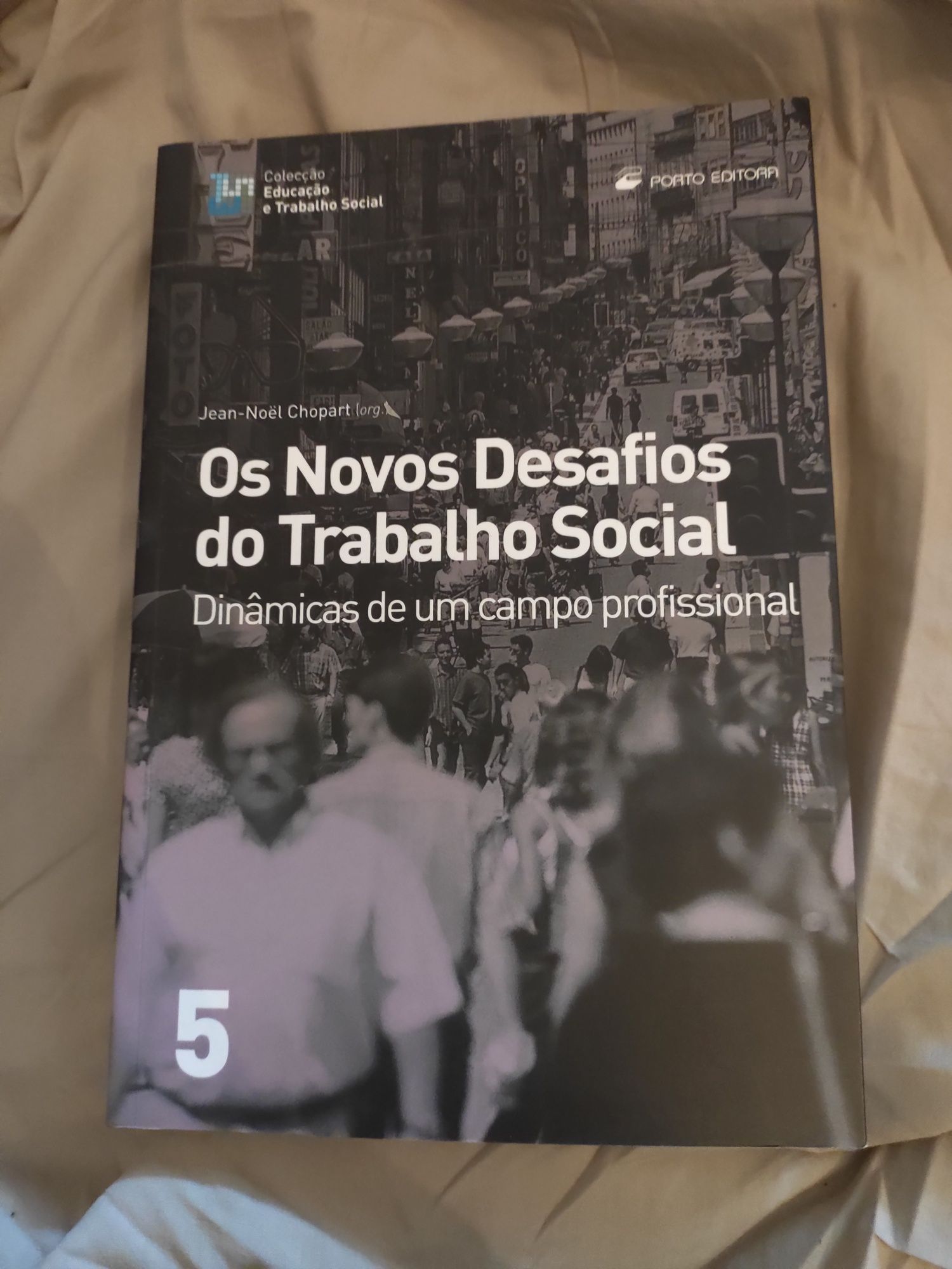 Livro Os novos desafios do trabalho social