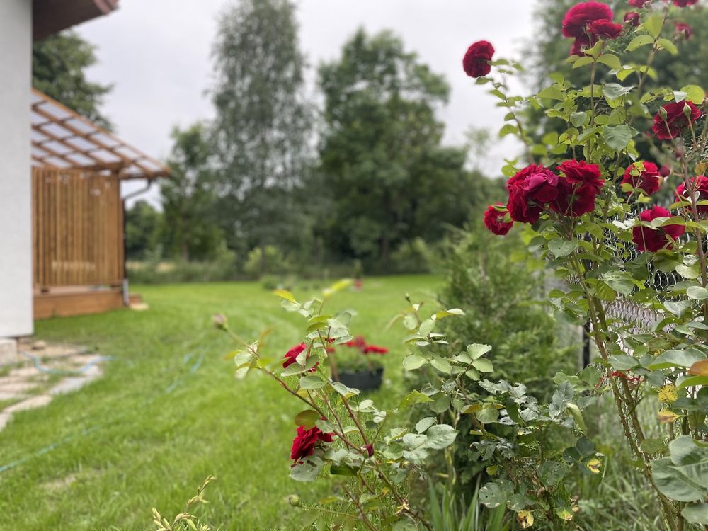 Dom całoroczny z sauną nad jeziorem Brajnickim