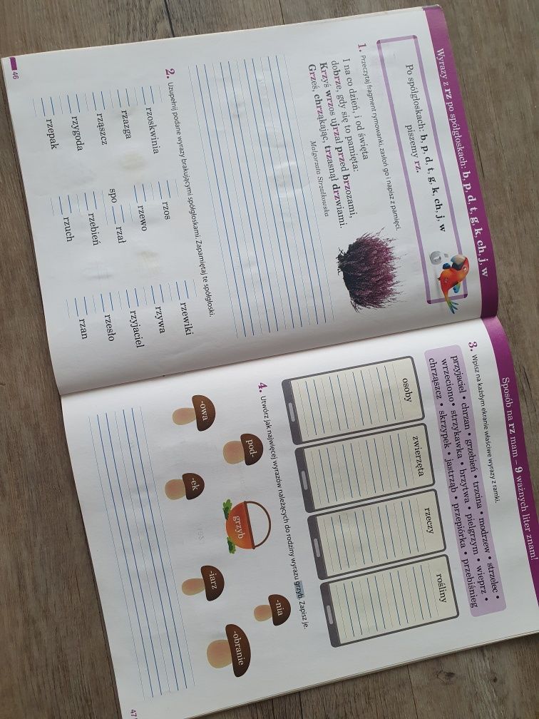 Potyczki ortograficznym klasa 2 Nowea Era Elementarz odkrywców