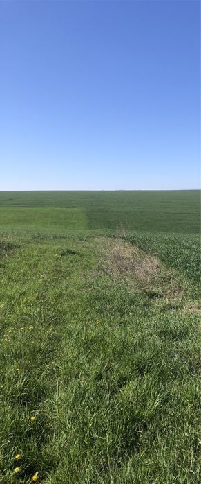 Продам земельну ділянку біля Збаража