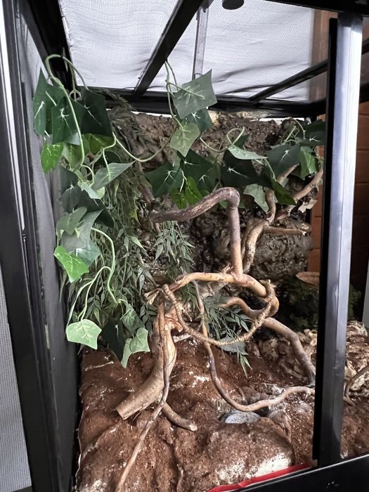 ExoTerra terrarium