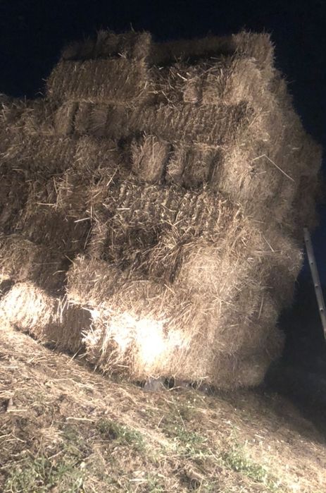 Fardos de feno da ultima epoca