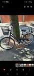 Rower Marku gazelle