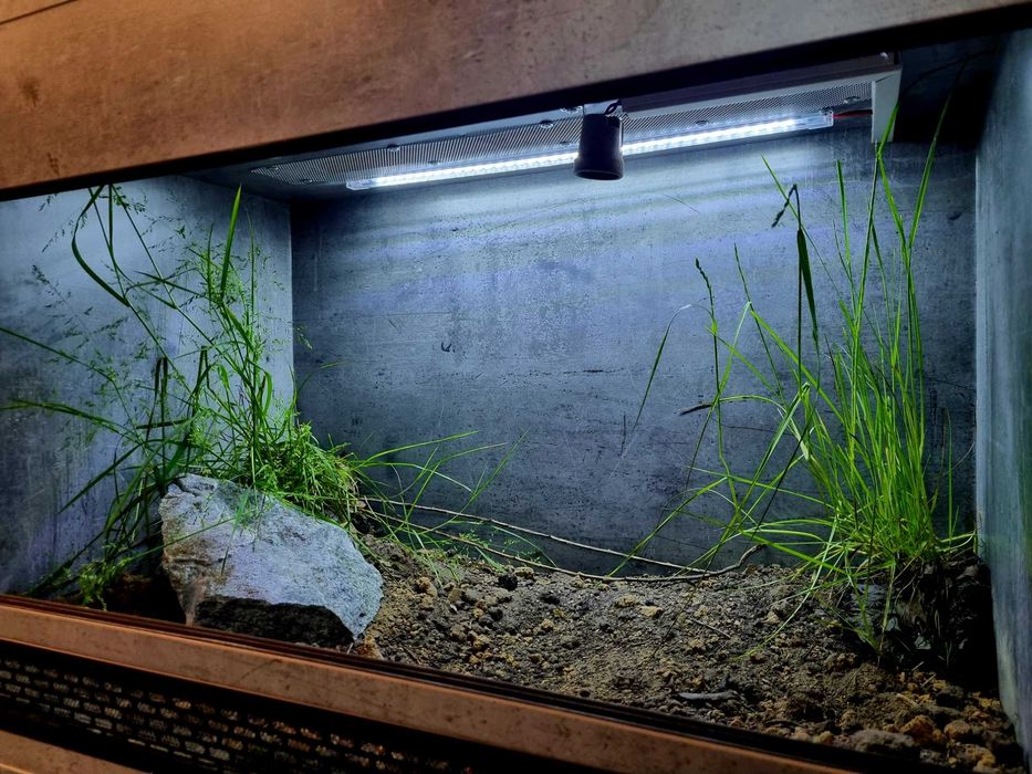 Terrarium 80x50x50 dla żółwia lądowego