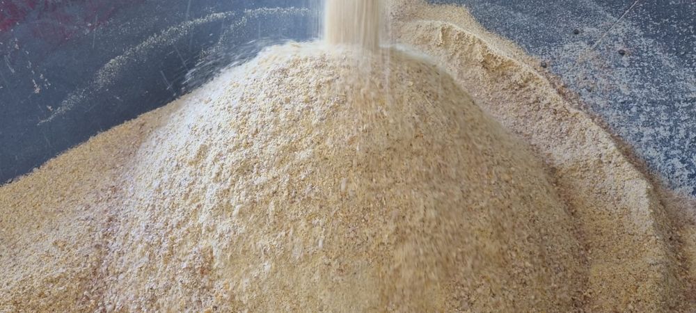 Kukurydza kiszona mokra,  ccm, big bag