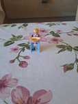 Maleństwo playmobil